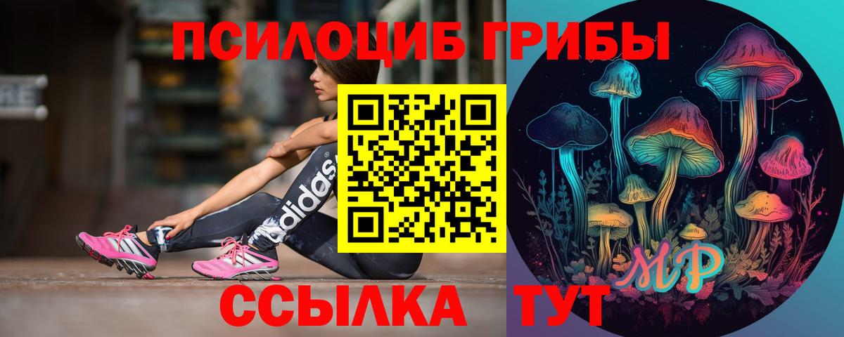как найти закладки  Псилоцибиновые грибы Magic Shrooms  Железногорск  Вход с VPN  Галлюциногенные грибы мухоморы 